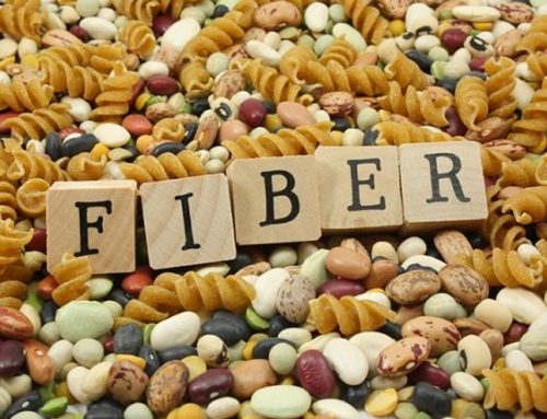 Fiber Intake Daily